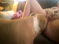 Cunnilingus with dog